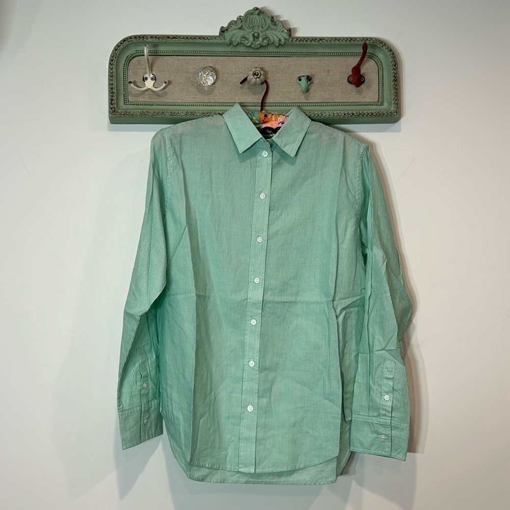 Everlane button down striped long sleeve shirt mint white size 2 women’s top